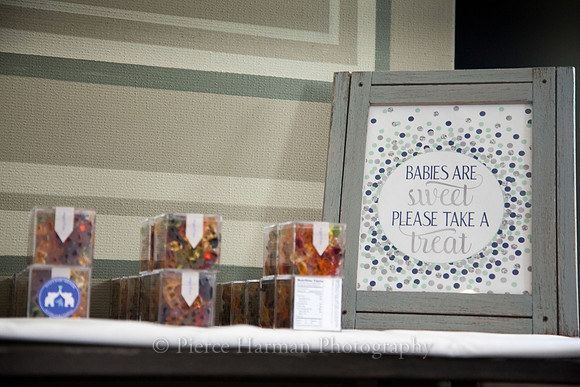 Dani_babyshower-0360