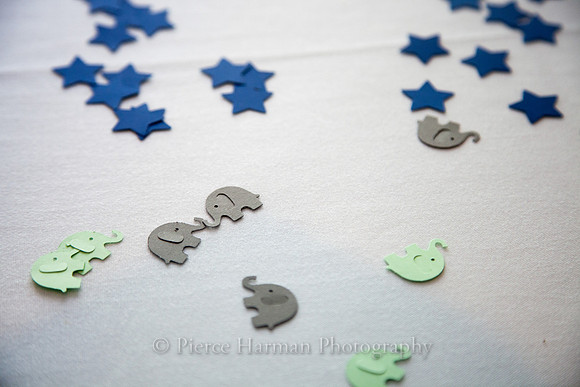 Dani_babyshower-0354