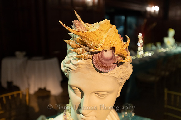 save-venice2018-07374