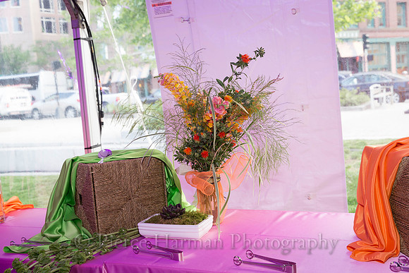 greenway gala-7261-2