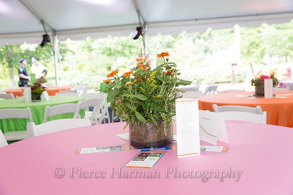 greenway gala-7255-2