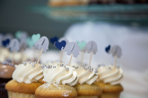 Dani_babyshower-0515