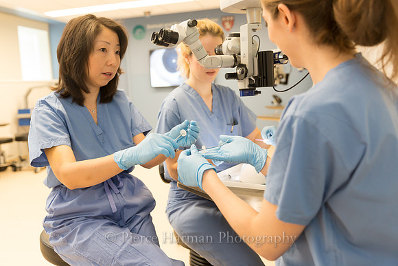 meei wet lab-9890