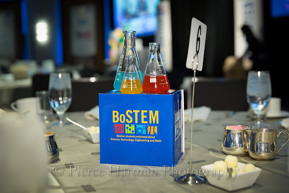 UW_STEM-9519