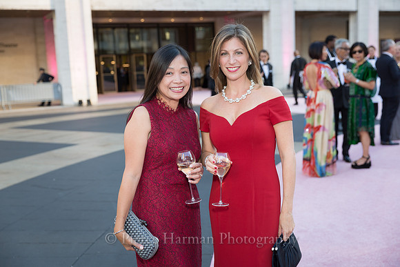 NYCBallet_gala2017-7115