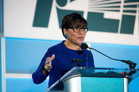 NEMA Annual 2015 (Ritz, DC)