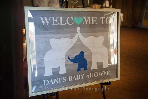 Dani_babyshower-0337