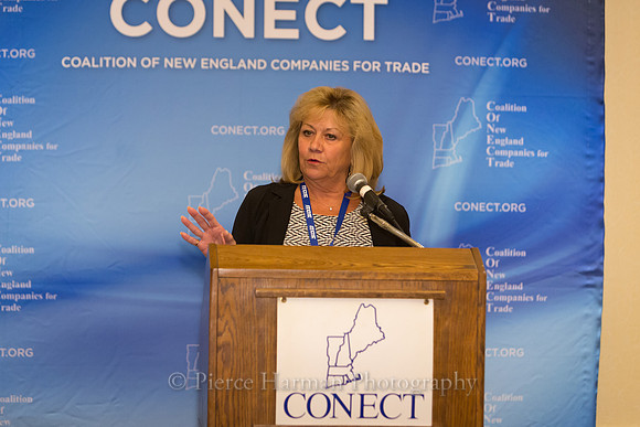 conect-2984