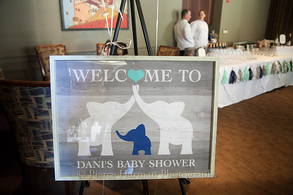 Dani_babyshower-0339