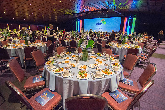 aim centennial-1013