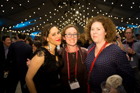 Harvard Class of '92 (25th Reunion) 2017