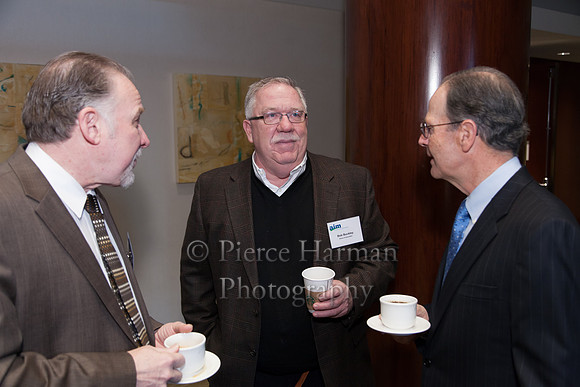 AIM Economic Panel 2013-6