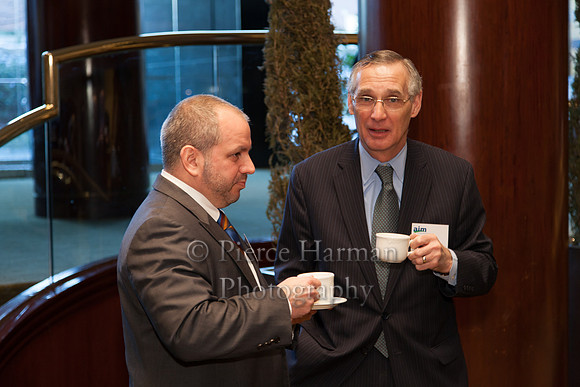 AIM Economic Panel 2013-1